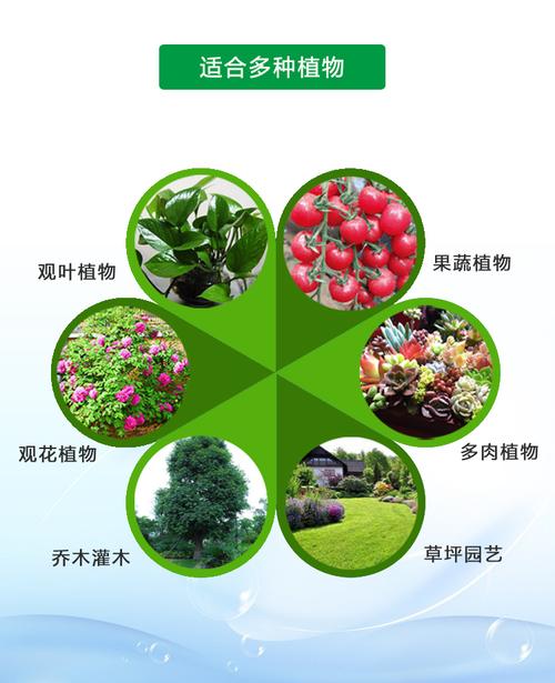 马特维(matewei)园艺用品 磷酸二氢钾叶面肥花肥料家用养花园艺盆栽